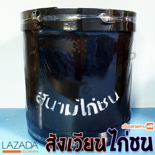 🐓 สังเวียนไก่ชน ความสูง 60 เซ็นติเมตร 🐓