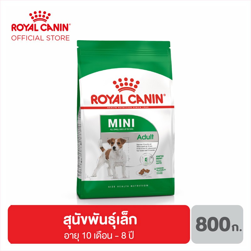 Royal Canin Mini Adult อาหารสุนัขโต ขนาดเล็ก อายุ 10เดือน–8ปี 800 กรัม