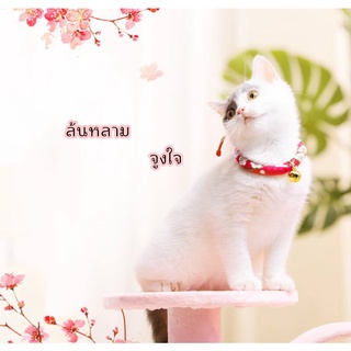 AL-066-3 ปลอกคอแมว ปลอกคอหมา สุนัข สัตว์เลี้ยง กระดิ่งแมวPet Collar สร้อยคอแมว ปลอกคอ🔥 พร้อมส่ง 🔥