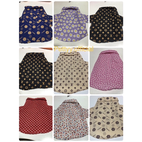 เสื้อโปโลสุนัขและแมว