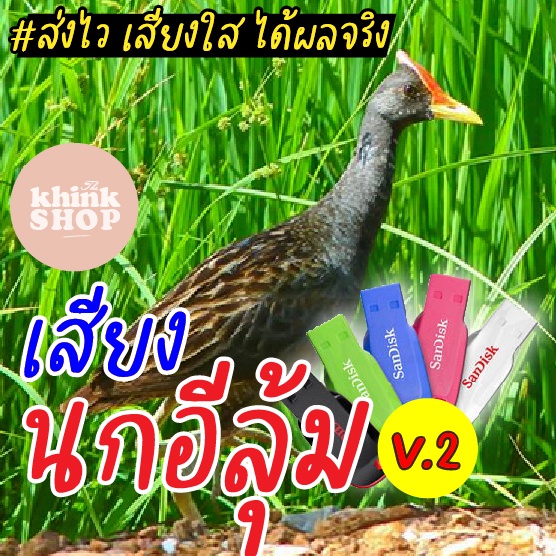 เสียงต่อนกอีลุ้ม V2 นกตูม นกตุ้ม เมม แฟลชไดร์ฟ ไม่มีโฆษณาแทรก มีเก็บเงินปลายทาง
