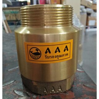 เช็ควาล์วสปริง 2 นิ้ว AAA