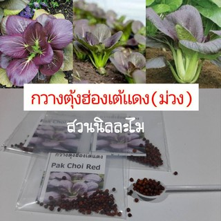 เมล็ดพันธุ์กวางตุ้งฮ่องเต้แดง 50-60เมล็ด (มีบริการเก็บเงินปลายทาง)