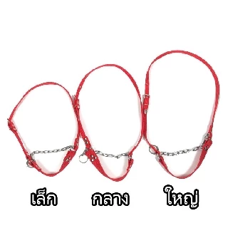 ขลุมวัว ขลุมจูงวัว เหม่าวัว อย่างหนา สแตนเลสอย่างดี เชือกสนตะพาย เม่า สายจูง ปรับความยาวได้