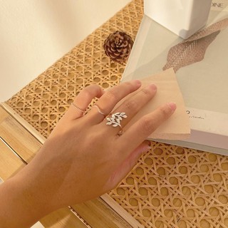 cchershop : silver925 แหวนเงินแท้ ใบมะกอก แหวนมะกอกแห่งชัยชนะ