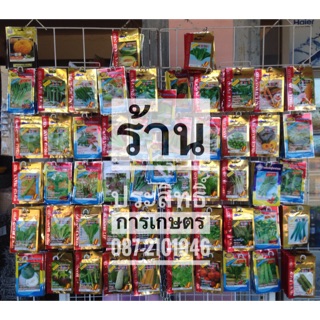 เมล็ดพันธุ์ผัก กินผล2 ซื้อ 10 แถม1 ยี่ห้อ เจียไต๋, ศรแดง, ปลาวาฬ, AAA ,333 เมล็ดผัก