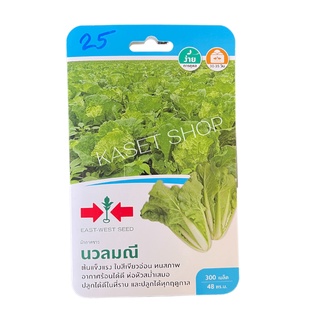 🔥ผักกาดขาวนวลมณี (บรรจุ300 เมล็ด) นวลมณี มล็ดพันธุ์ผัก เมล็ดพันธุ์ ผักสวนครัว ตราศรแดง