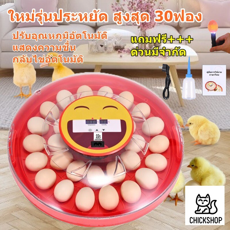 ส่งด่วน ตู้ฟักไข่อัตโนมัติ 30 ฟอง มีคู่มือภาษาไทย ของแถมครบ ศูนย์ซ่อม ไข่ไก่ เครื่องฟักไข่ ตู้ฟัก