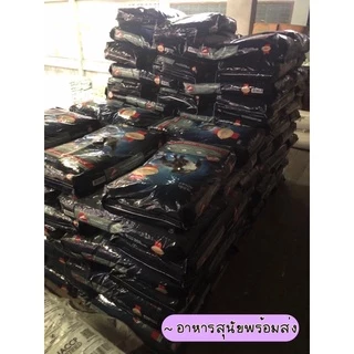 อาหารสุนัข Smart Heart Power Pack สูตรสุนัขโต 20กก. 📦 พร้อมส่ง
