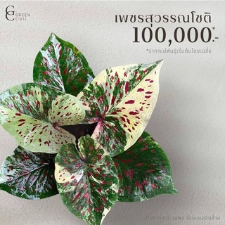 เพชรสุวรรณ์โชติบอนสีแร์ไอเท่มราคามิตรภาพ