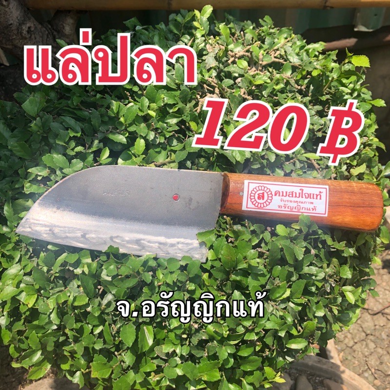 มีดแล่ปลา เหล็กกล้า มีดหัวโค้ง มีดอรัญญิก จ้อยอรัญญิกแท้