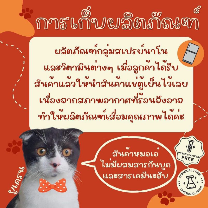รูปภาพ 9
