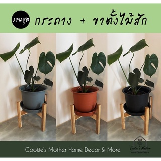 CK DECOR 🏠 กระถางต้นไม้พร้อมขาตั้งไม้สัก กระถางต้นไม้ ขาตั้งกระถาง