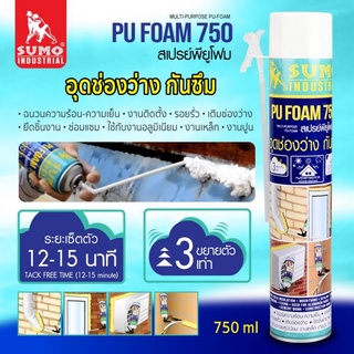 สเปรย์ พียูโฟม รุ่น 750 SUMO ซูโม่