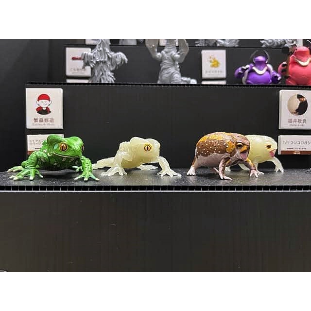 (เพิ่มครบชุดพร้อมส่ง) กาชาปองกบต้นไม้ Gashapon SO-TA Breviceps Adspersus & Waxy Monkey Tree Frog โมเดลสัตว์ - รูปที่ 5