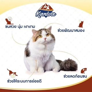 Kaniva อาหารแมวคานิว่า โซเดียมต่ำ บำรุงสุขภาพ สำหรับแมวทุกช่วงวัย ขนาด 6-15 Kg