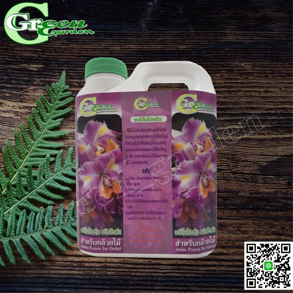 อะมิโนโปรตีน สำหรับกล้วยไม้พร้อมใช้ ชนิดเติม 1 ลิตร (Amino Protein For Orchid) Green Garden