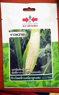 เมล็ดผักสวนครัว ศรแดง ตะวันต้นกล้า เจียไต๋ 🌽🥬🍆🍅🌶ข้าวโพด มะละกอ ซองละ 10 ตราศรแดง