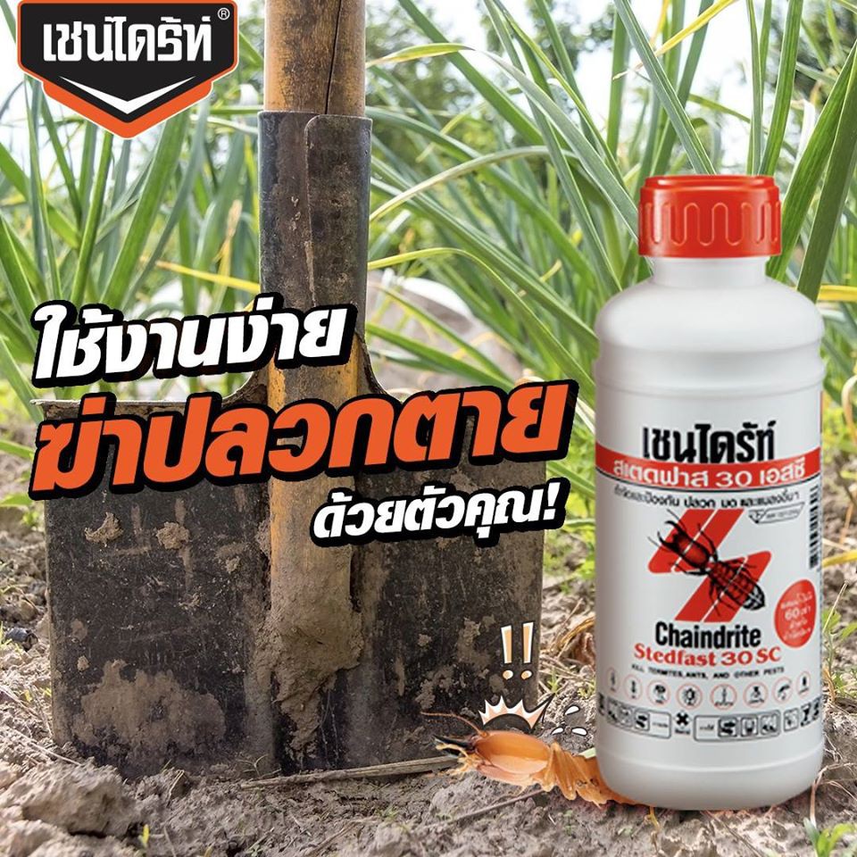 เชนไดร้ท์ กำจัดปลวก แมลง 500 Cc. | Shopee Thailand