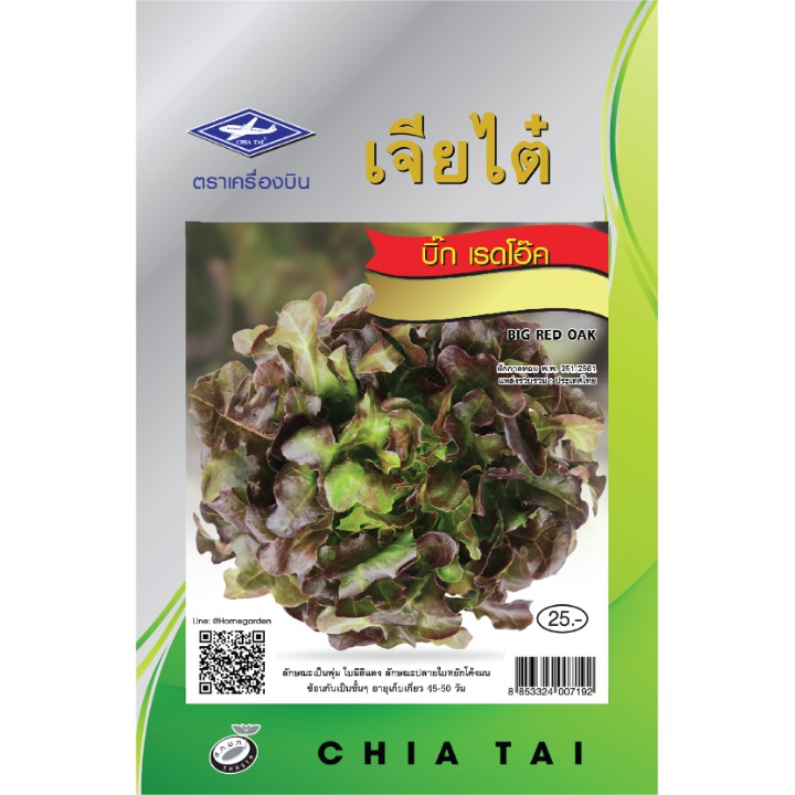 เรดโอ๊ค (Red Oak Seeds) เมล็ดพันธุ์ ผักสลัด เรดโอ๊ค บิ๊กเรด ขนาด 100 เมล็ด