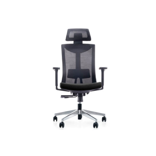 Ergotrend เก้าอี้เพื่อสุขภาพ เก้าอี้ทำงาน เก้าอี้สำนักงาน เออร์โกเทรน รุ่น Dual-X