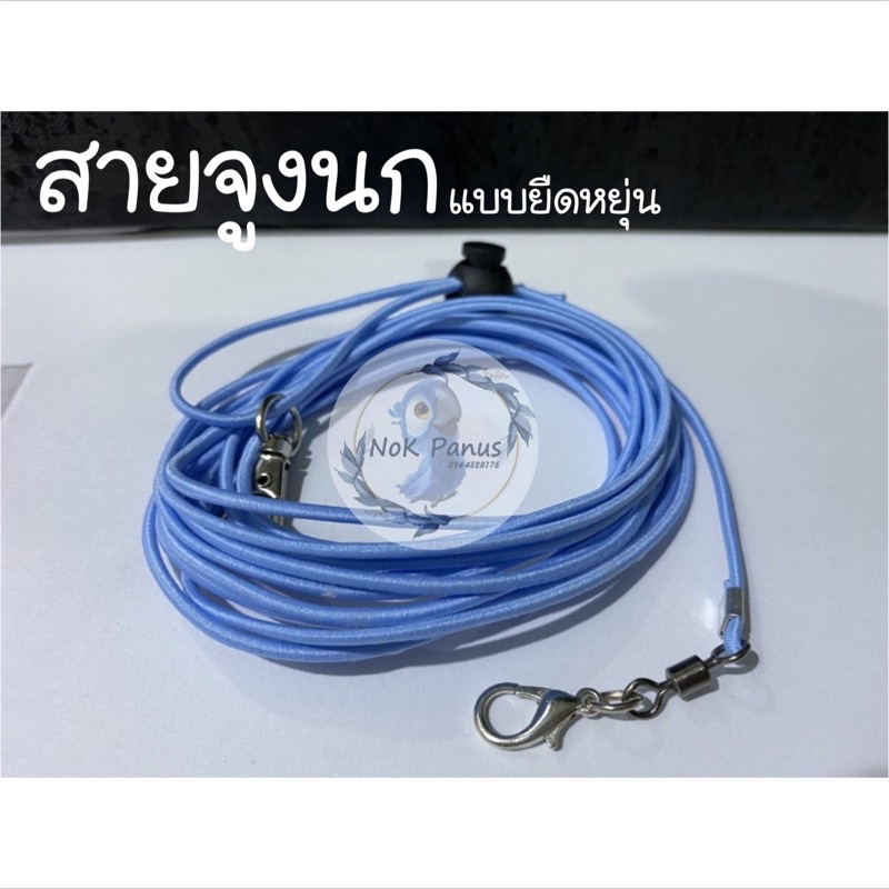 สายจูงนกแบบยืดหยุ่น พานกเที่ยวปลอดภัย คล้องหมุนอิสระไม่พันขานก