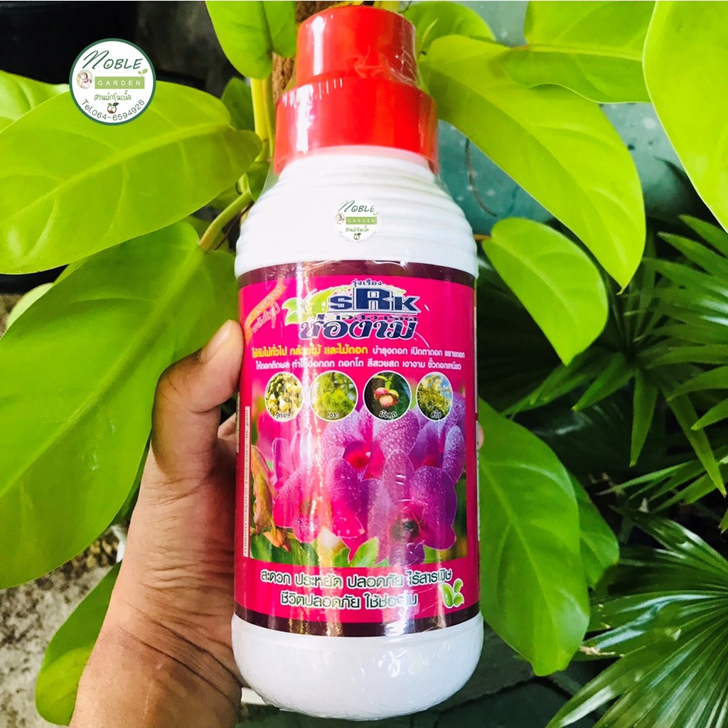 ปุ๋ยน้ำ ช่องาม 1,000 ซีซี/ 1 ลิตร ฮอร์โมน ปุ๋ย สูตร เร่งดอก เร่งสี 🌺 บำรุงดอก เปิดตา ขยายดอก ดอกดกโต สีสวย บอนสี