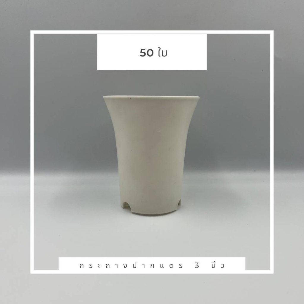 กระถางปากแตร 3 นิ้ว สีขาว ปากแตร แพ็ค 50 ใบ กระบองเพชร แคคตัส ทรงสูง