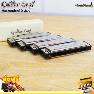 Golden Leaf ฮาร์โมนิก้า Harmonica ขนาด 10 ช่อง