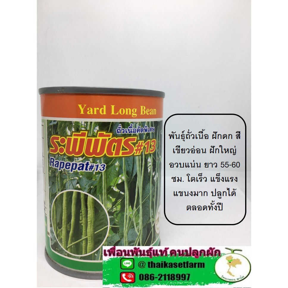 ถั่วเนื้อ ระพีพัตรดกมาก