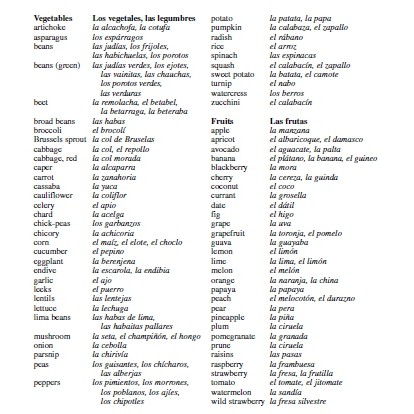 ชีท/หนังสือ คำศัพท์ภาษาสเปน พื้นฐาน Sheet Spanish Vocabulary พร้อมแบบฝึกหัด  | Shopee Thailand