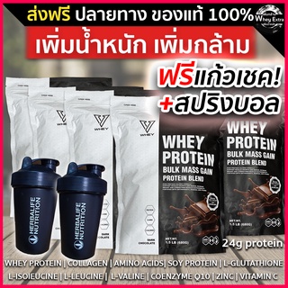 🔥V WHEY PROTEIN เวย์โปรตีน เพิ่มน้ำหนัก เพิ่มกล้ามเนื้อ 5 ถุง + แก้วเชค (ส่งฟรี) 💯% ของแท้ มีผล LAB  มีเก็บเงินปลายทาง 🚚