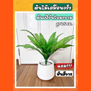 (ฟรีหินสีขาว) ต้นไม้ปลอม ต้นเฟิร์นกระถาง ต้นเฟริน สูง 40 cm