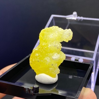 Rare item ⚡️ 5cm Specimen Box "Lemon Brucite" from Pakistan (น้องม้าน้ำน่ารักก)