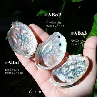 Abalone shell | เปลือกหอยอะบาโลน 🐚🌈 หรือ #เปลือกหอยเป๋าฮื้อ