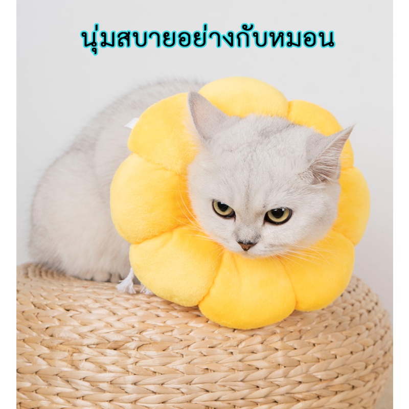 AL-143 ปลอกคอแมว สุนัข หมา ปลอกคอกันเลีย คอลล่ากันเลีย ที่กันเลีย 🔥 พร้อมส่ง 🔥