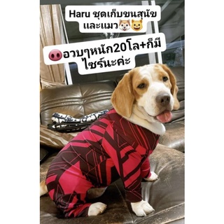 Haru   ชุดเก็บขนสุนัขเเละเเมว