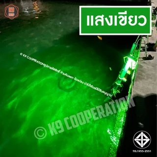 ไฟคีบแบต ไฟสีเขียว สปอตไลต์ ไฟไดหมึก ตกปลา สปอตไลท์ 185W ไฟสว่าง (AC/DC)