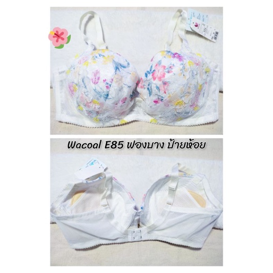 เสื้อชั้นในญี่ปุ่นมือสอง งานแบรนด์ญี่ปุ่น Wacoal Triumph GU tutu anna aimer feel แบรนด์ญี่ปุ่นแท้ สภ