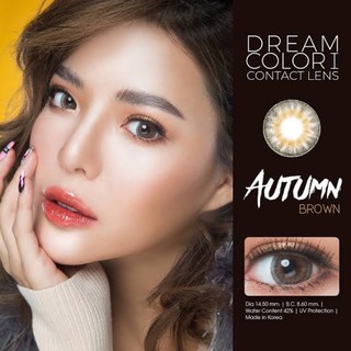 Autumn brown พร้อมส่งค่าสายตา (dreamcolor1))