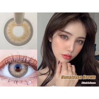 【เกรดเลนส์】Himalayan Brown คอนแทคเลนส์นิ่ม สีน้ําตาล 2 ชิ้น 0.00 -8.00 Himalayan Brown 14.00 มม.