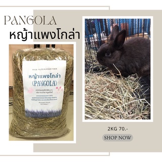 หญ้าแพงโกล่าแห้ง ถุงใหญ่ 2 กิโลกรัม (Pangola grass 2 kg)