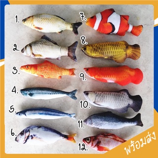 MITI4 Catnip Fish Doll ถูกสุด พร้อมส่ง ทุกลาย!! ปลาแคทนิป ของเล่นแมว ตุ๊กตา ปลาแมวฟิน ขนาด 20 ซม. COD MIP0026