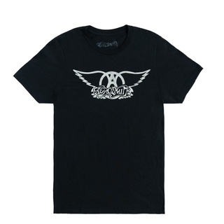 เสื้อยืดแขนสั้น พิมพ์ลายการ์ตูน Aerosmith Wings ทรงปกติ สําหรับผู้ชายS-5XL