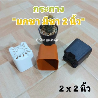 กระถาง สี่เหลี่ยมมีขา 2 นิ้ว // กด 100 ใบ 200 -- 2 นิ้ว -- กระถางยกขา แคคตัส เพชร กระถางพลาสติก