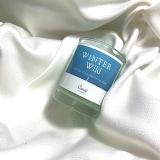 (❤️TZ7Z5G ลดทันที 40.-)เทียนหอม กลิ่น วินเทอร์ ไวลด์ - Soy Candle Winter Wild เทียนหอมไขถั่วเหลือง เทียน ของขวัญ