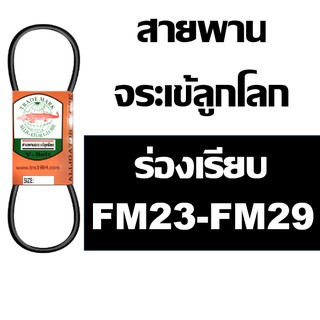 จระเข้ลูกโลก สายพาน ร่อง FM ร่องเรียบ FM20 FM21 FM22 FM23 FM24 FM25 FM26 FM27 FM28 FM29 23 24 25 26 27 28 29