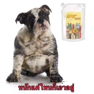 แชมพูและครีมนวด Chiffon Pet Clean : สำหรับสัตว์เลี้ยงที่คุณรัก❤️
