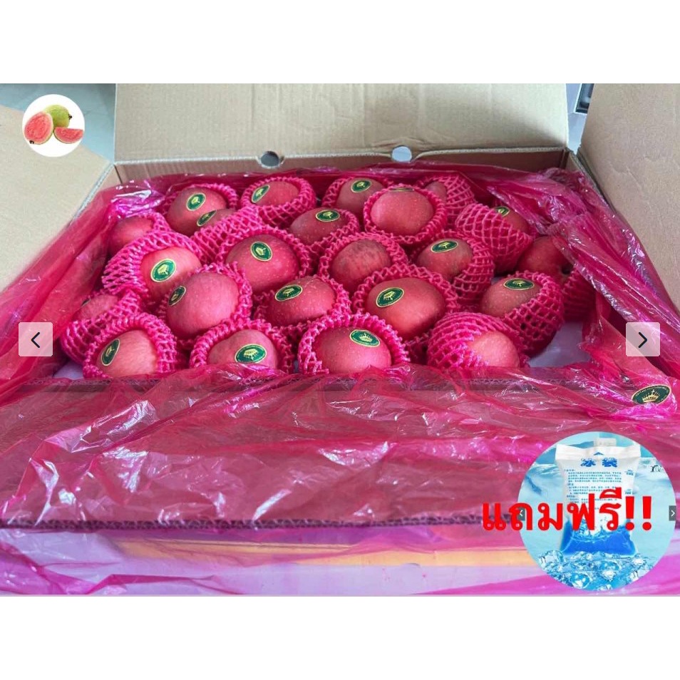 แอปเปิ้ลฟูจิ (ยกลัง) APPLE FUJI (CHN) ~ลดพิเศษ~ ผลไม้สด แอปเปิ้ลสด ผลไม้ต่างประเทศ ผลไม้พรีเมี่ยม ขา