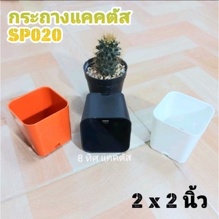 กระถาง SP020 2 นิ้ว // กด 12 ใบ 25 บาท --2 นิ้ว สี่เหลี่ยม SP020 -- กระถางพลาสติก แคคตัส กระบองเพชร